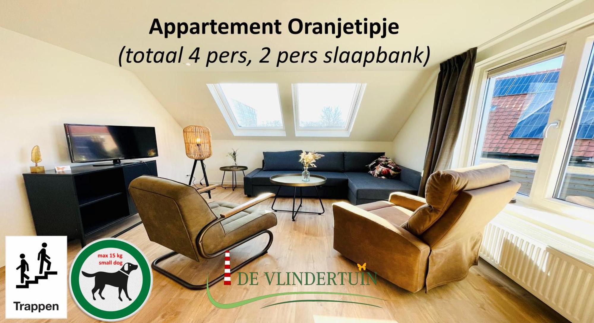Appartement De Vlindertuin à Nes  Extérieur photo