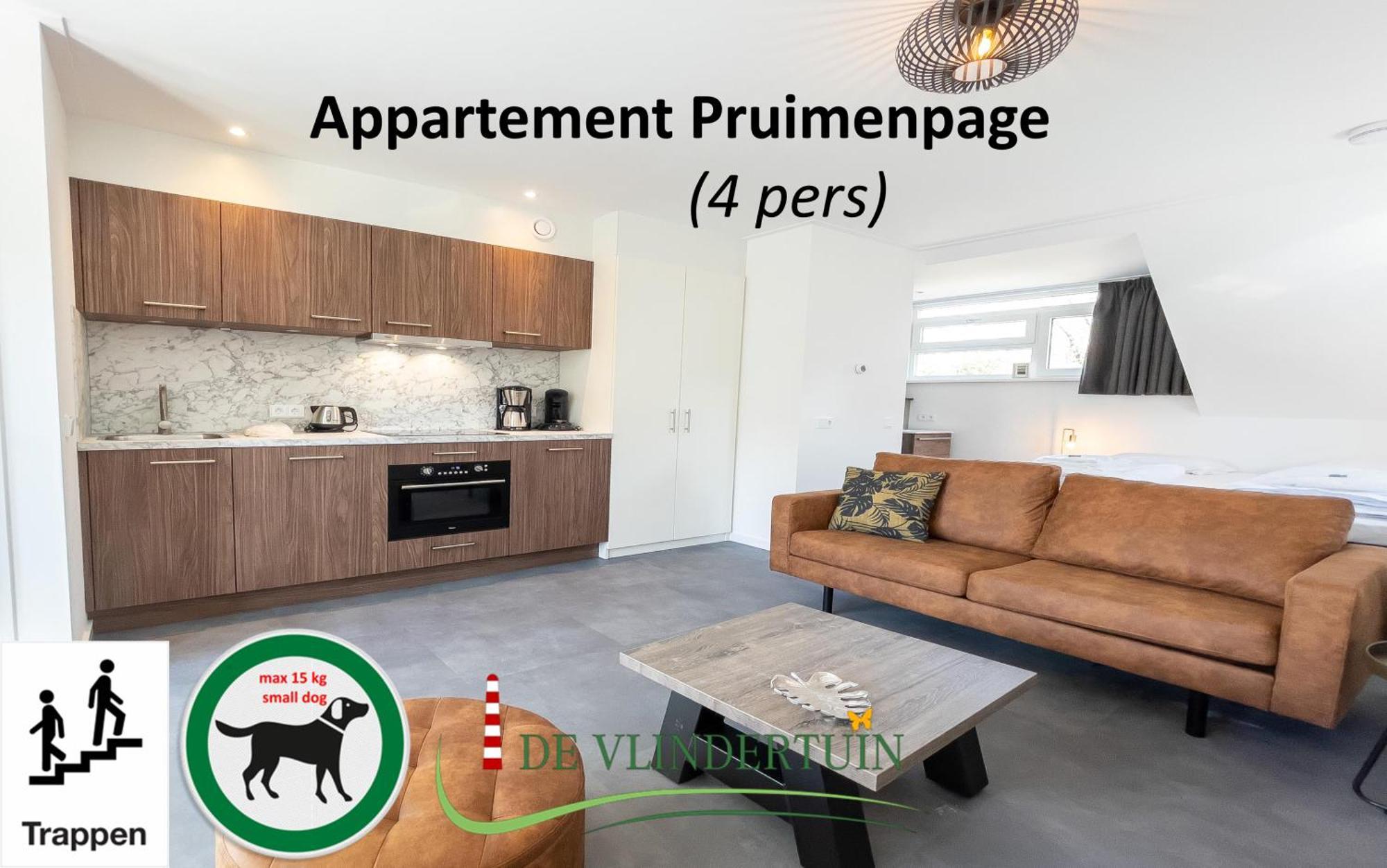 Appartement De Vlindertuin à Nes  Extérieur photo